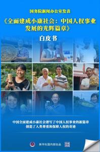 职业生涯的辉煌篇章 职业生涯的辉煌篇章