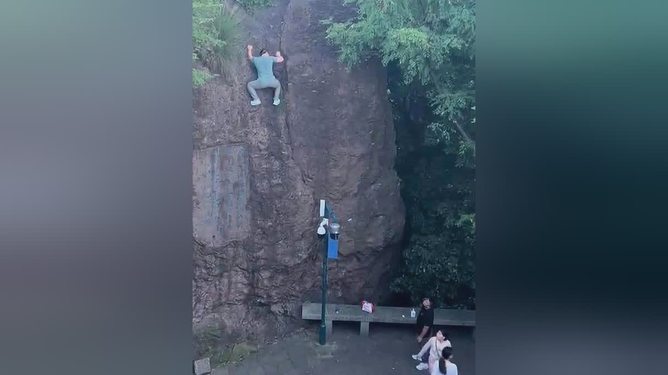 女子景区遇见岩羊飞檐走壁 女子景区遇见岩羊飞檐走壁