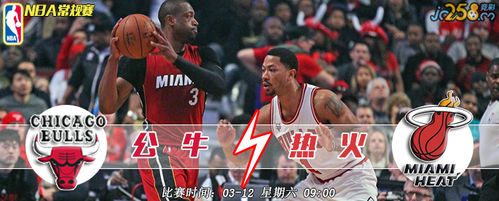 NBA常规赛,热火VS公牛,一场激情四溢的较量 NBA常规赛,热火VS公牛,一场激情四溢的较量